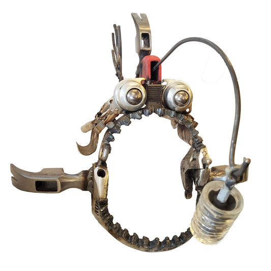 Hammer-Head Angler Fish