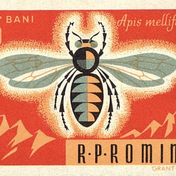 Postage Stamp Necklace - 1963 Romania Honey Bee