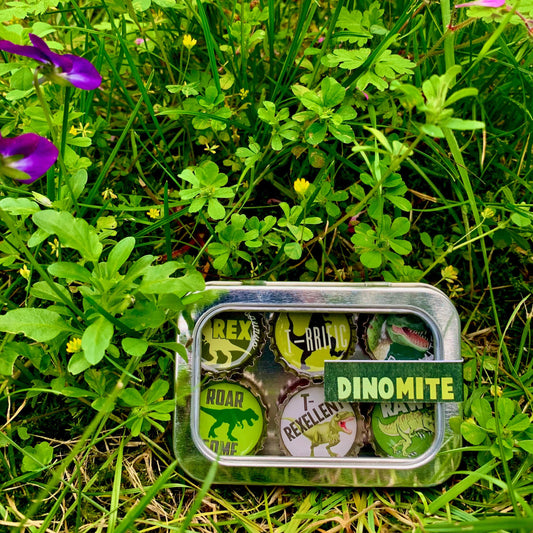 Bottle Cap Magnets - Dinosaur