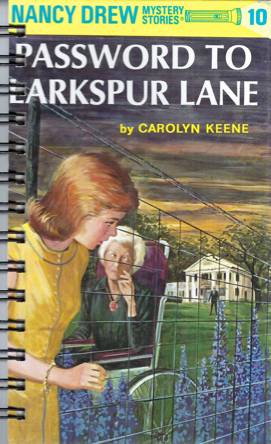 Attic Journal Nancy Drew: Password to Larkspur Lane