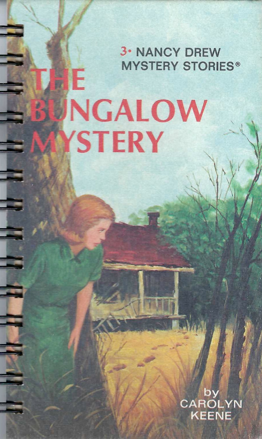 Attic Journal Nancy Drew: Bungalow Mystery