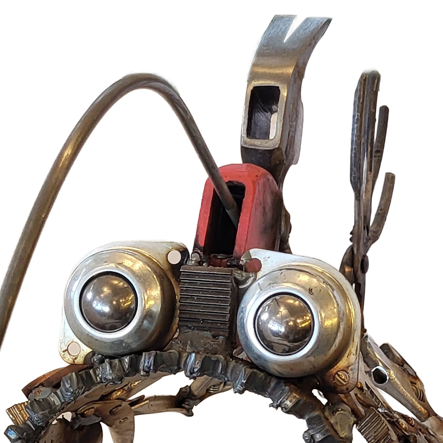 Hammer-Head Angler Fish