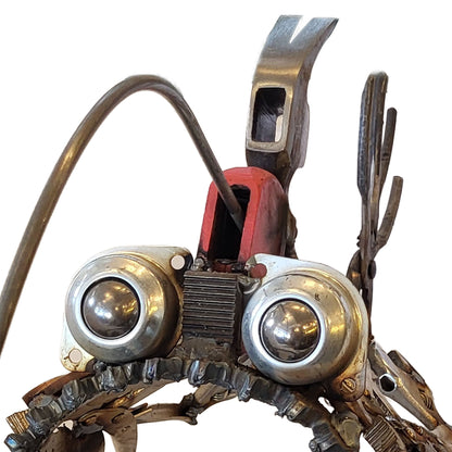 Hammer-Head Angler Fish