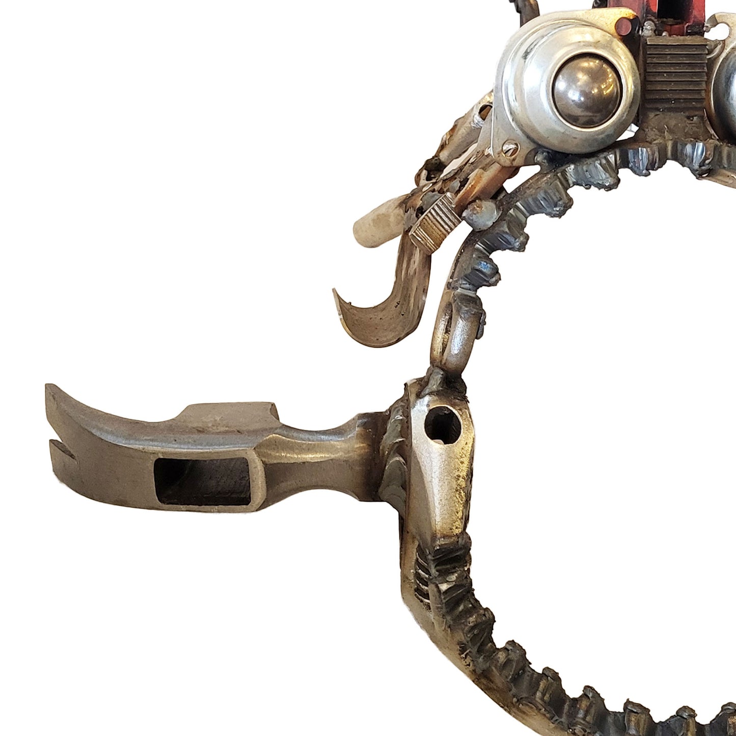 Hammer-Head Angler Fish