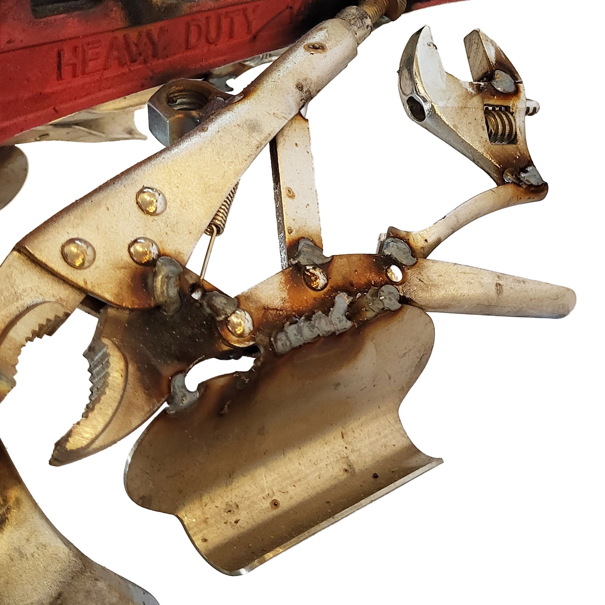 Hammer-Head Angler Fish