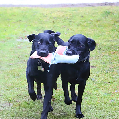 Fire Hose Dual Handled Dog Tug Toy