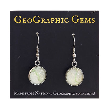 GeoGraphic Gems Single Drop Earrings GG304
