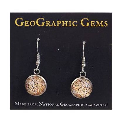 GeoGraphic Gems Single Drop Earrings GG307