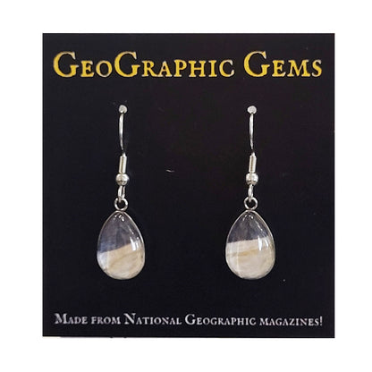 GeoGraphic Gems Single Drop Earrings GG309