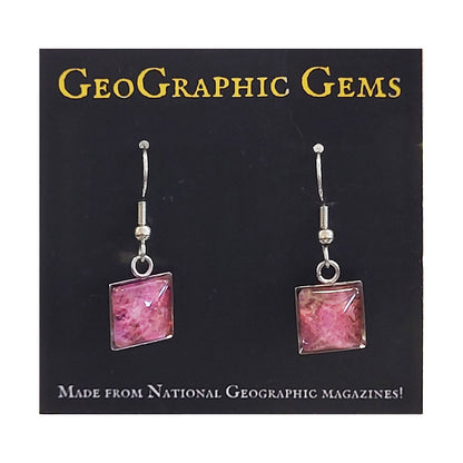 GeoGraphic Gems Single Drop Earrings GG311