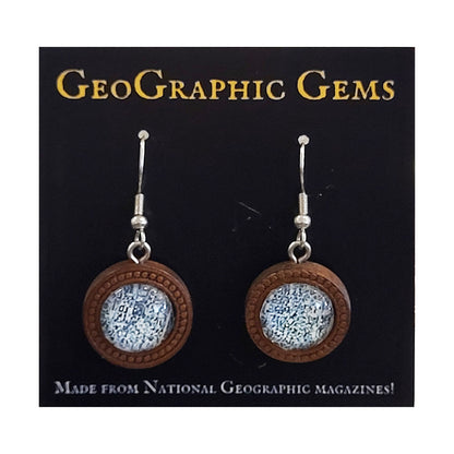 GeoGraphic Gems Single Drop Earrings GG313