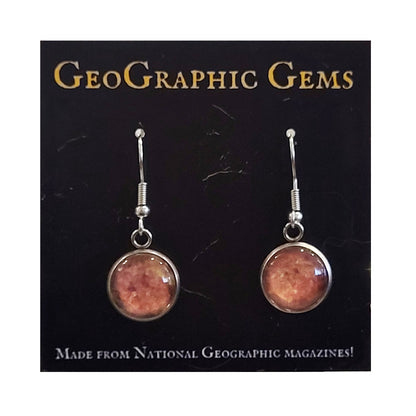 GeoGraphic Gems Single Drop Earrings GC215