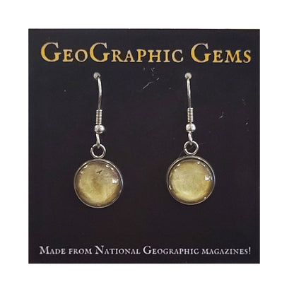 GeoGraphic Gems Single Drop Earrings GG021