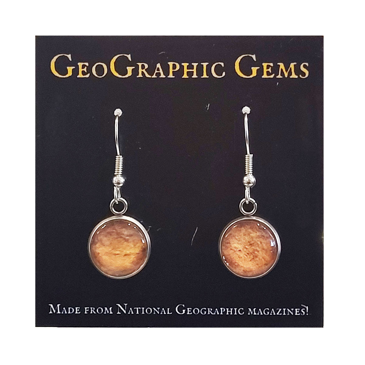 GeoGraphic Gems Single Drop Earrings GC217