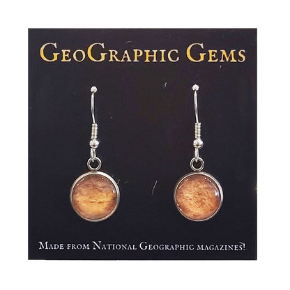 GeoGraphic Gems Single Drop Earrings GC217