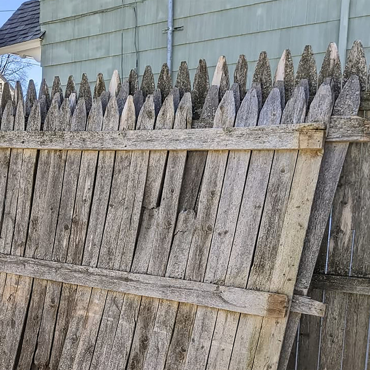 Fence Fish - 12" Fish 509