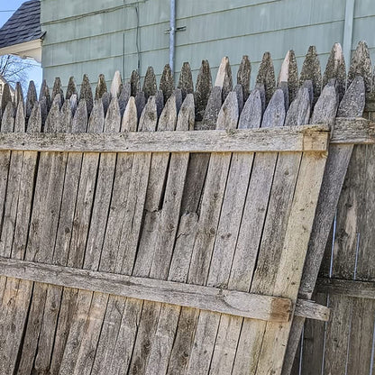 Fence Fish - 12" Fish 509